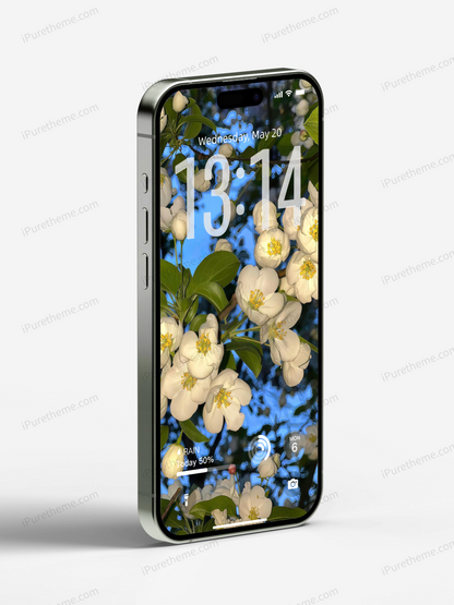 10 Wallpaper Sets + Widgets Tutorial
